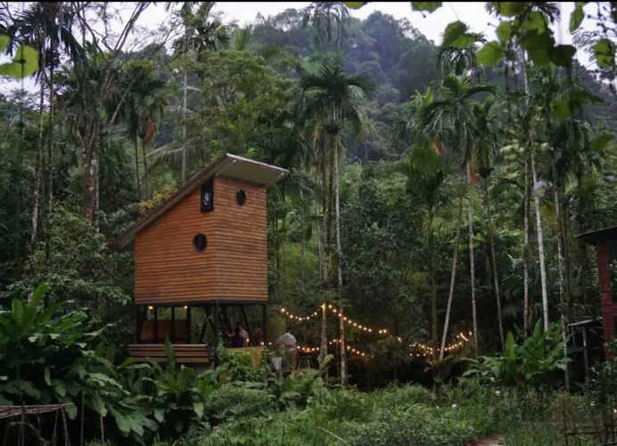 Landing-Airbnb-No11-Eco cabin x Lovebirds-Cathouse)